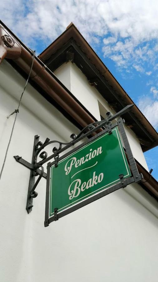 Penzion Beako Na "Pinglu" Votice المظهر الخارجي الصورة